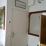 De Springer