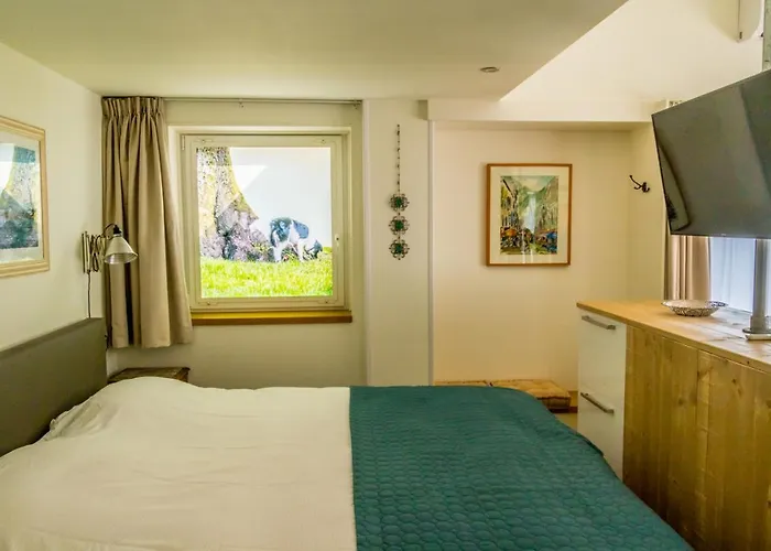 De Springer Ámsterdam